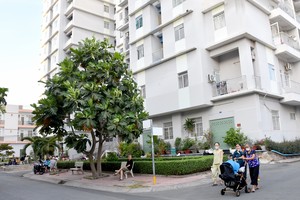 平新郡的社会住房实用、美观。