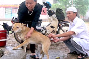 卫生部劝告防范狂犬病措施