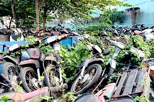 胡志明市第七郡阮文葵街一个存车场堆积许多被扣押的车辆。