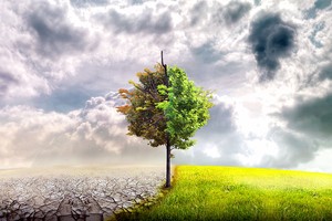 令我有所改变的人(二)