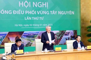 2025年1月4日简讯