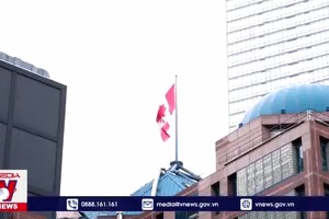 加国自由党于３月９日选新党首