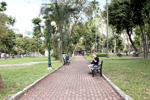 市建设厅既定至2030年公共绿树面积不低于每人１平方米的指标。