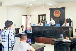 本市平政县人民法院正在对一名未成年犯罪人开庭审判。