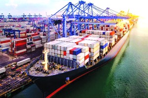 越新进出口额创下新高