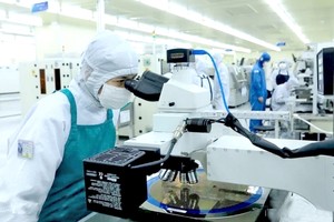 专生产零子零配件的某FDI企业，已为近2000名员工解决就业。