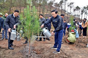 2025年2月8日简讯