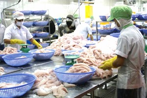 越南可以善用各自由贸易协定以扩大出口市场和减少对单一市场的依赖。