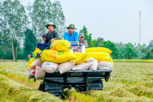 逾4100名农村劳工将接受职技培训