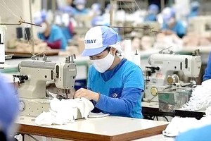 越南已成为世界的大进出口国之一。