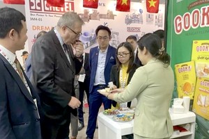 越南企业在新加坡的展览会上推介产品。