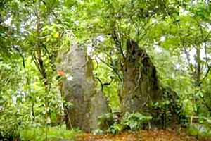 河内石冲山历史遗迹。