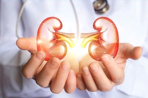 慢性肾脏病已成为全球危害人类健康的重要公共卫生问题之一。