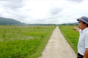 被弃置的土地一隅。