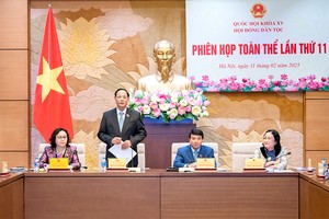 2025年3月29日简讯