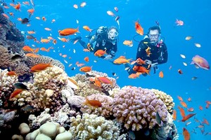 越南也是亚洲区理想的浮潜目的地之一。