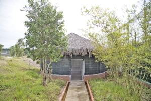 丹顶鹤的繁殖区一隅。