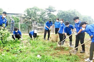 本市共青团团员、青年参与平盛郡穿心渠清除垃圾活动。