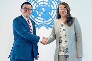 联合国承诺与越南合作促进《河内公约》实施