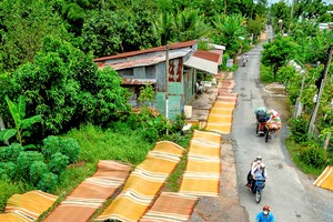 同塔省定安草席村。