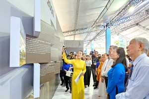 本市举行喜庆南方解放50周年展