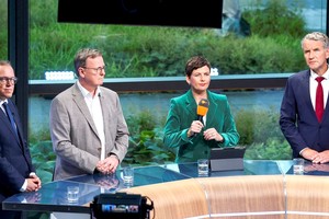 德联邦宪法保卫局认定德选择党为极右翼势力