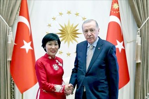 越土关系致力于实现全面与务实发展