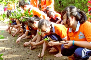 本市学生参加芹耶红树林新植活动，以为城市增添绿肺。