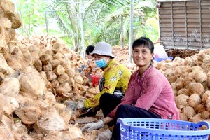 槟椥省犁嘴南县定水乡的阮氏佩从事椰子加工工作，有助改善家庭的经济生活。