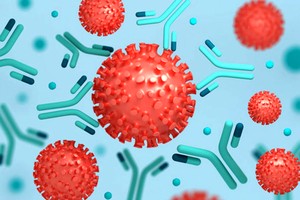 科学家打造“超强抗体”癌症免疫疗法再升级