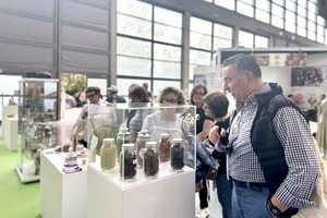 国际友人参观越南展位。