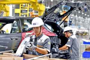 民营企业的生产线。