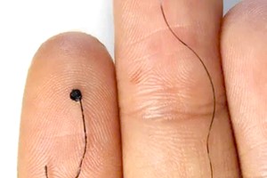 科学家研发出类似头发的脑电监测设备