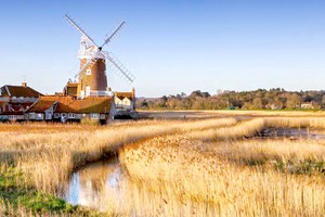 英国东盎格利亚。