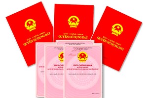 为逾7万房地产签发粉红簿