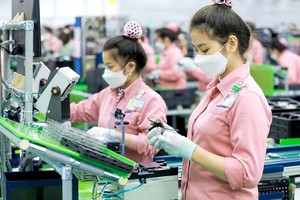 如果FDI与国内企业之间无法形成共鸣，国内企业领域就会继续停滞不前。