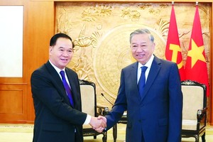 苏林总书记接见老挝党中央办公厅主任