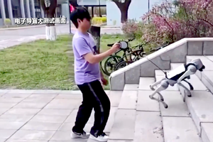 电子导盲犬让视障人士“看见”生活点滴