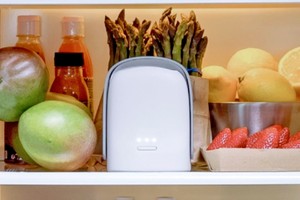 该款净化器能有效消除异味。