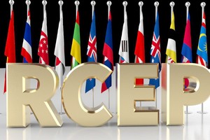 推动 RCEP 成员国开展务实有效合作