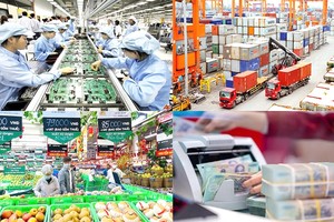 许多新政策于2025年6月生效