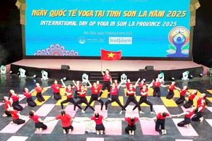 瑜伽有助构建“一个共同地球与健康”