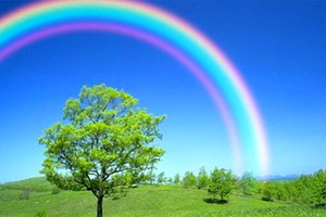 理想的彩虹