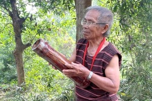 艺人鸟烈与宫戈拉竹琴。