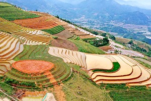 如诗如画的丰裕上。