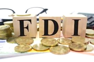 去年全球外国直接投资下降 11%