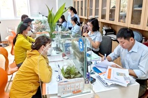 根据第178号《议定》所享的制度，是否要缴纳个人所得税？