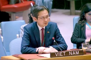 越南承诺努力保护武装冲突中儿童