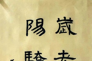 洁芳书法作品欣赏