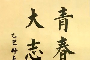 王扬海书法作品欣赏